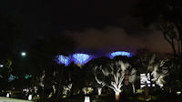 Gardens at Night-29.jpg